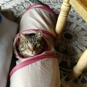 Meet your Posher, Denise